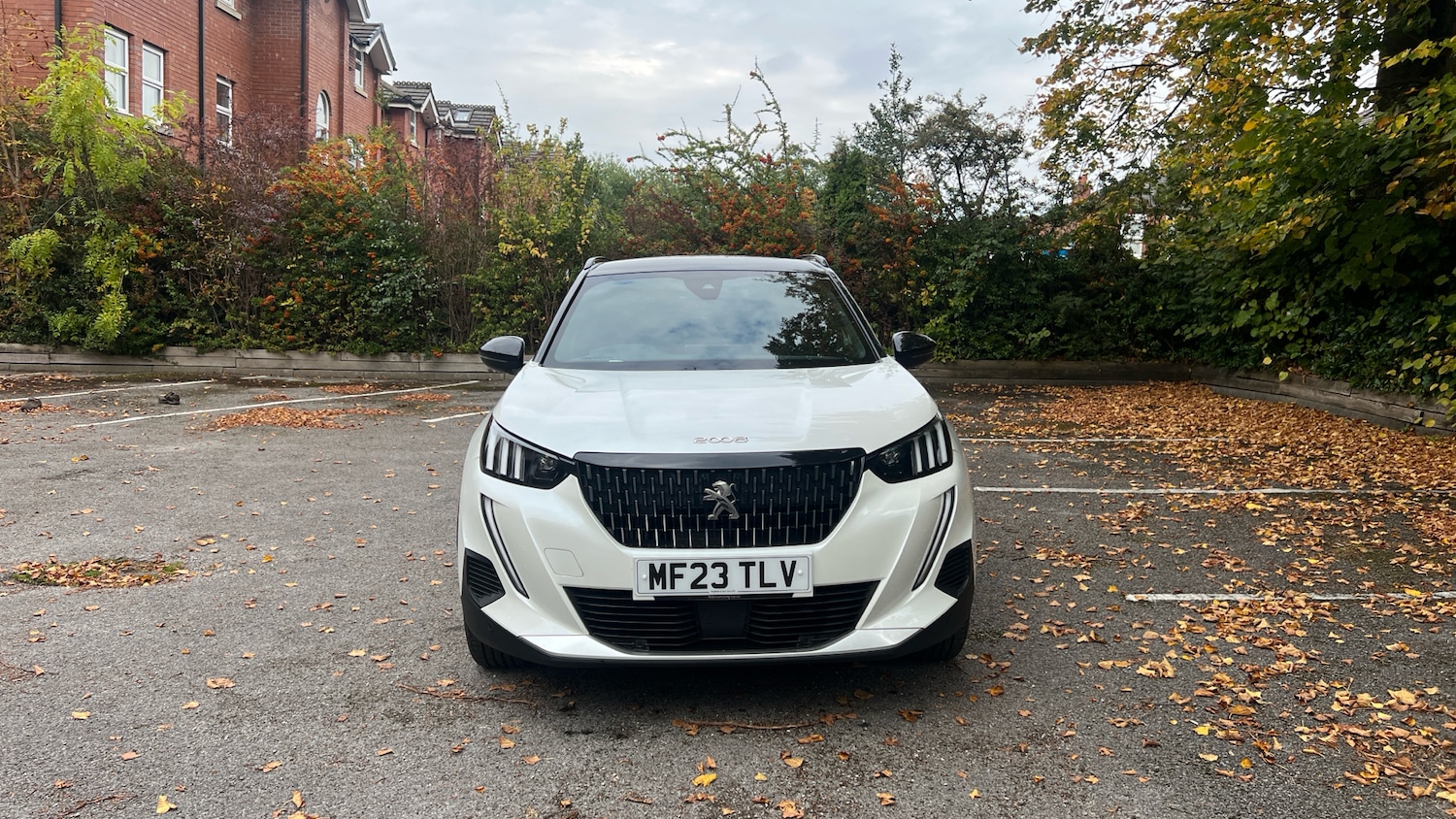 Used Peugeot 2008 2023 for sale - 76139388: Photo 8