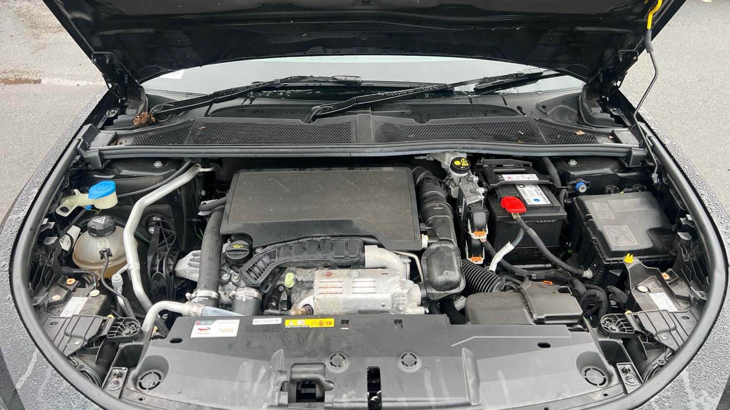 Used Peugeot 408 2024 for sale - 76927462: Photo 19