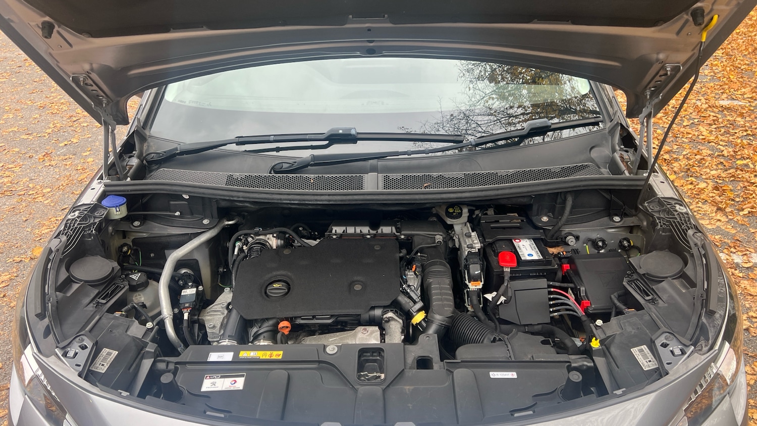 Used Peugeot 3008 2019 for sale - 76228682: Photo 18