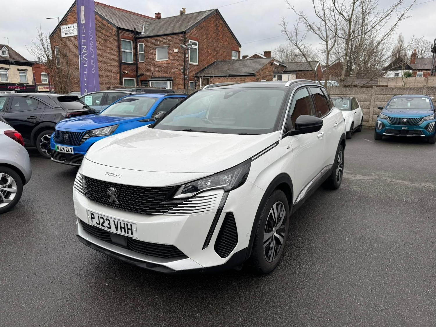 Used Peugeot 3008 2023 for sale - 77613566: Photo 3