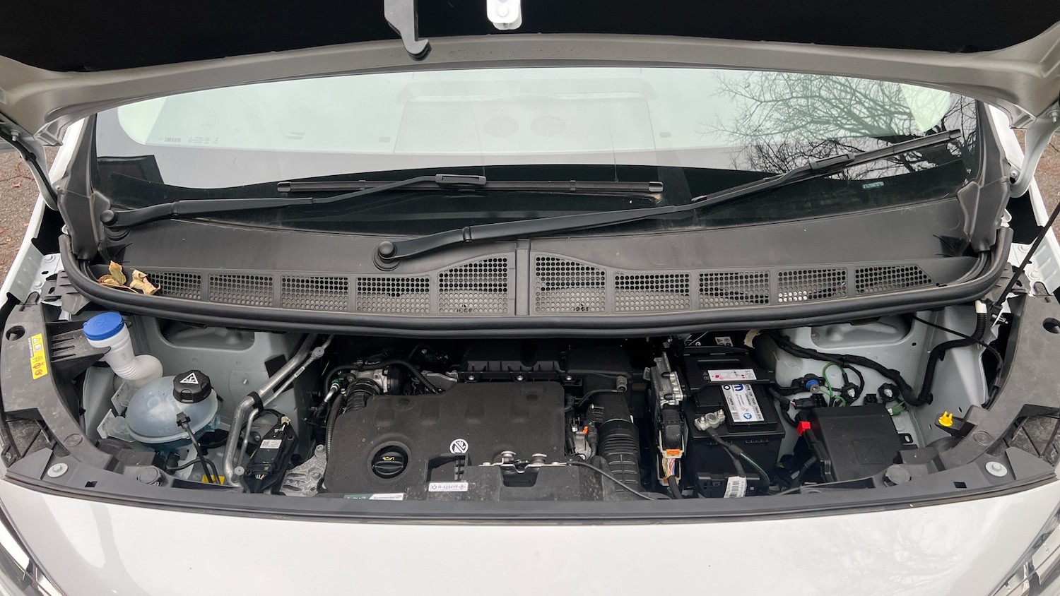 Used Citroen Dispatch 2024 for sale - 76754159: Photo 18