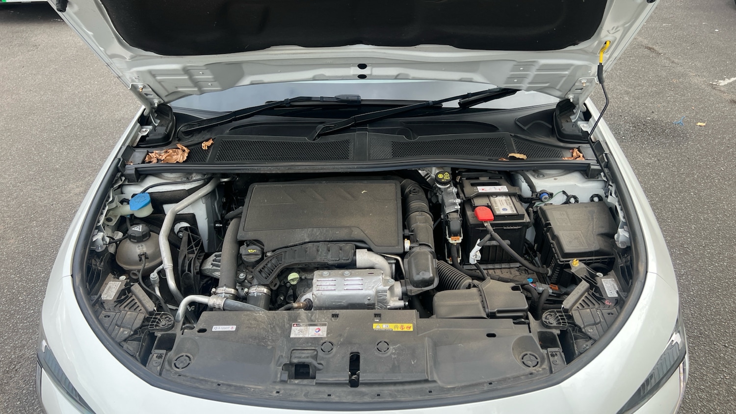 Vehicle 18