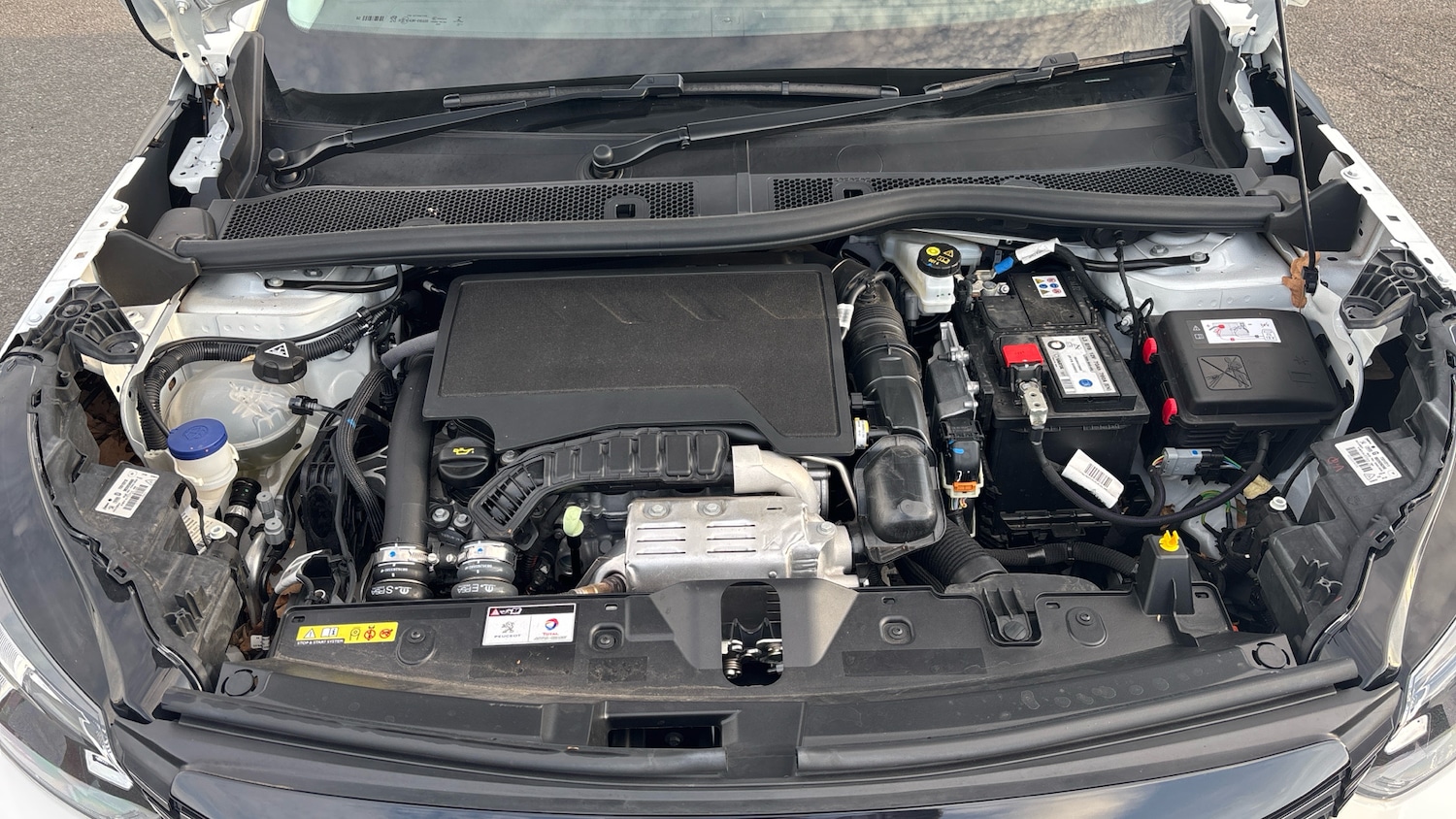 Used Peugeot 2008 2022 for sale - 76099790: Photo 18