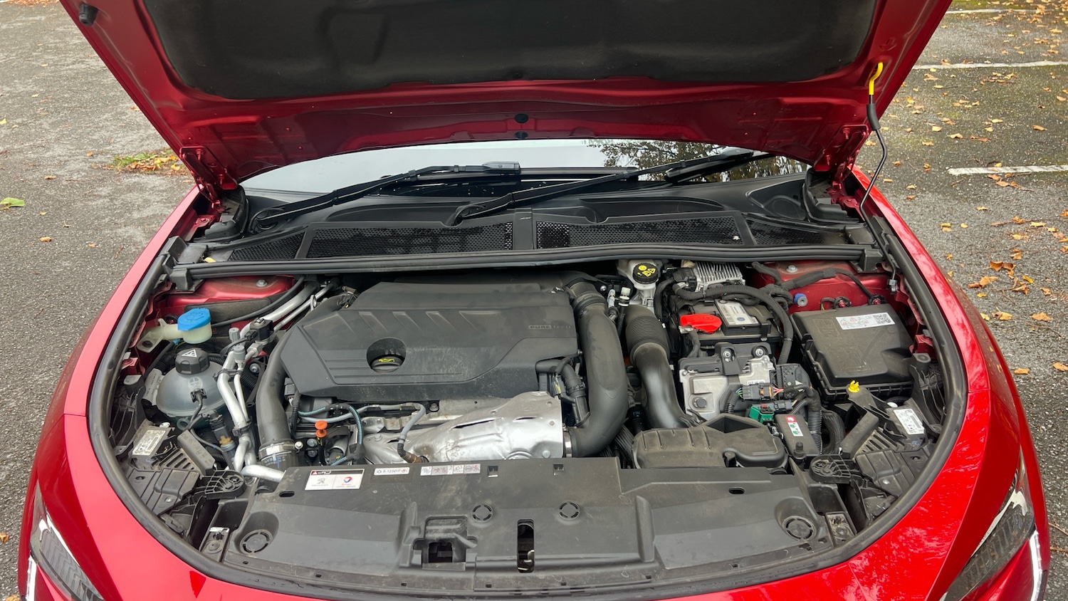 Used Peugeot 408 2024 for sale - 76228684: Photo 18