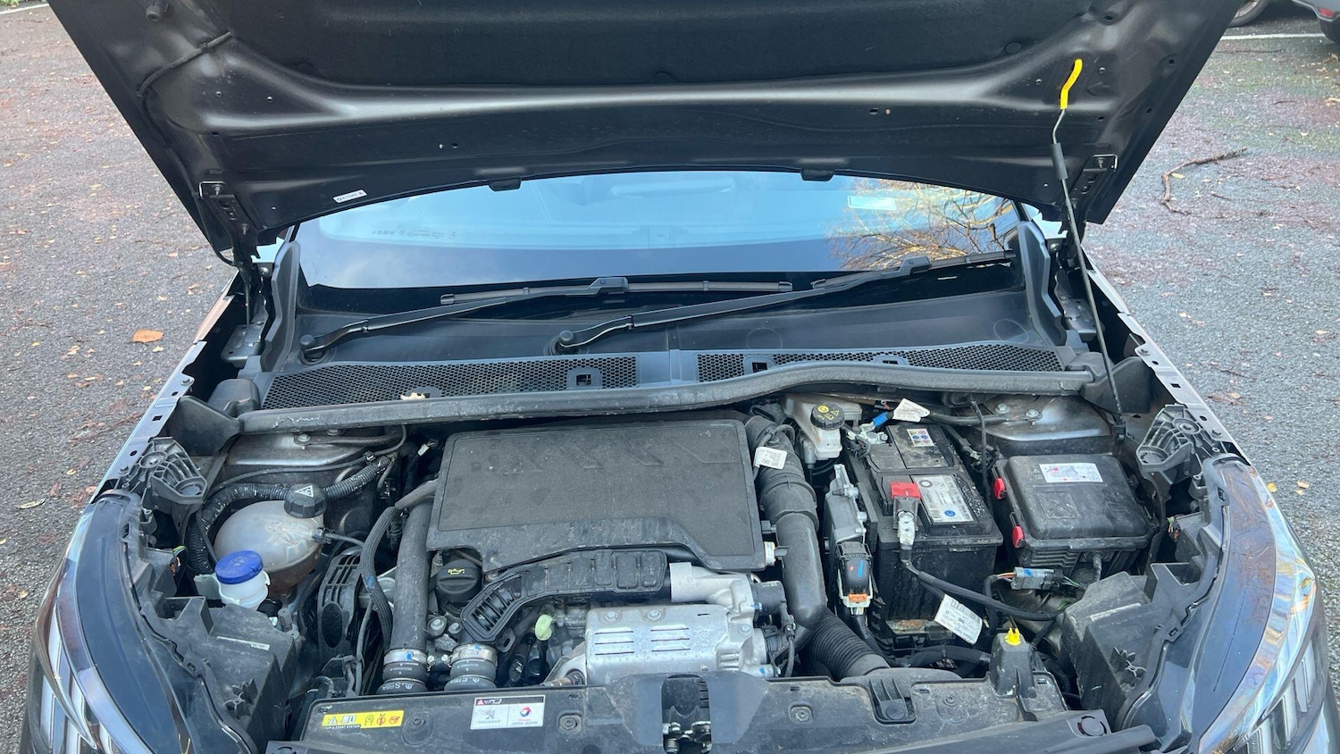 Used Peugeot 2008 2022 for sale - 76772612: Photo 15