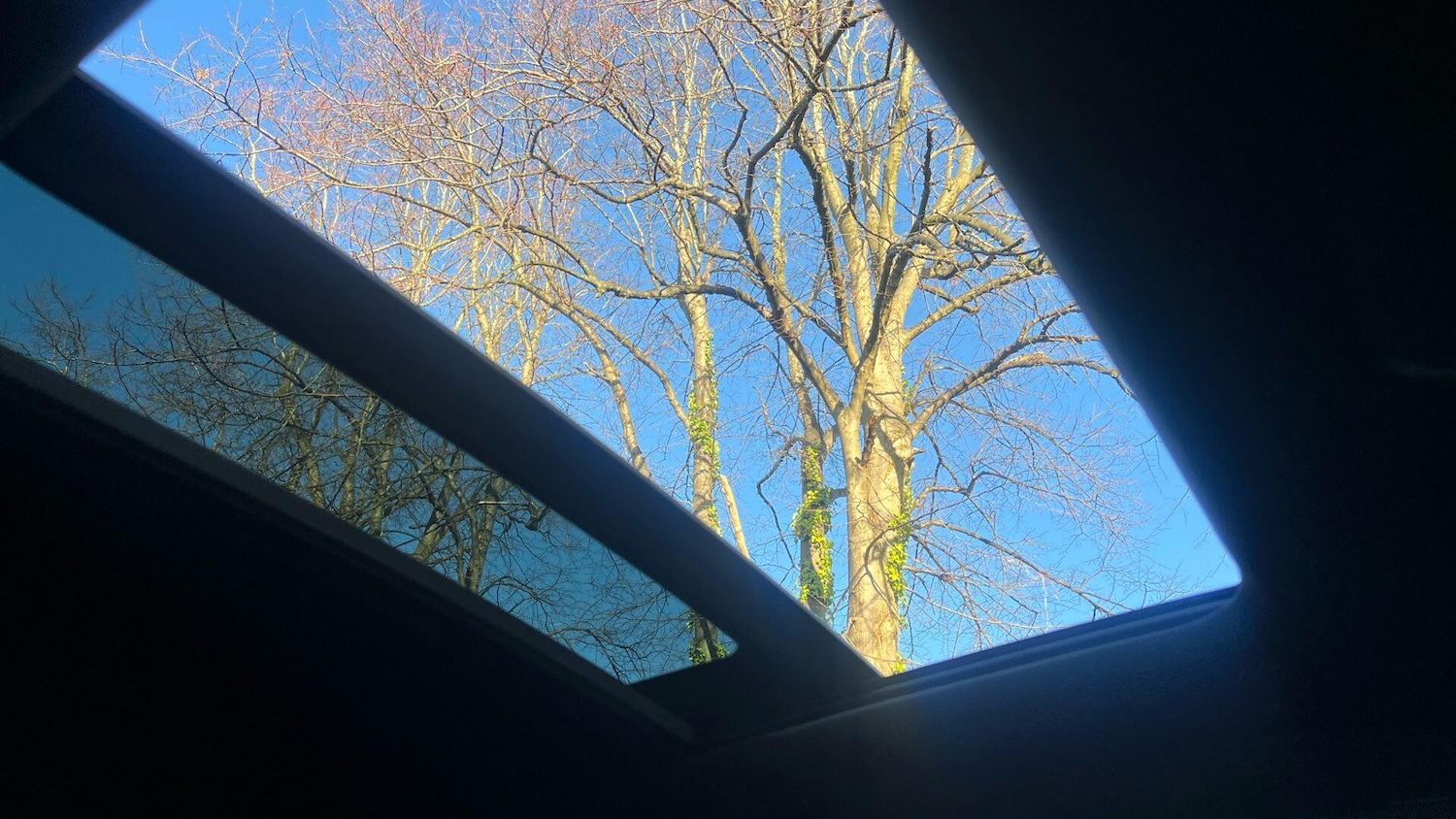 Used Peugeot 2008 2022 for sale - 76772612: Photo 31