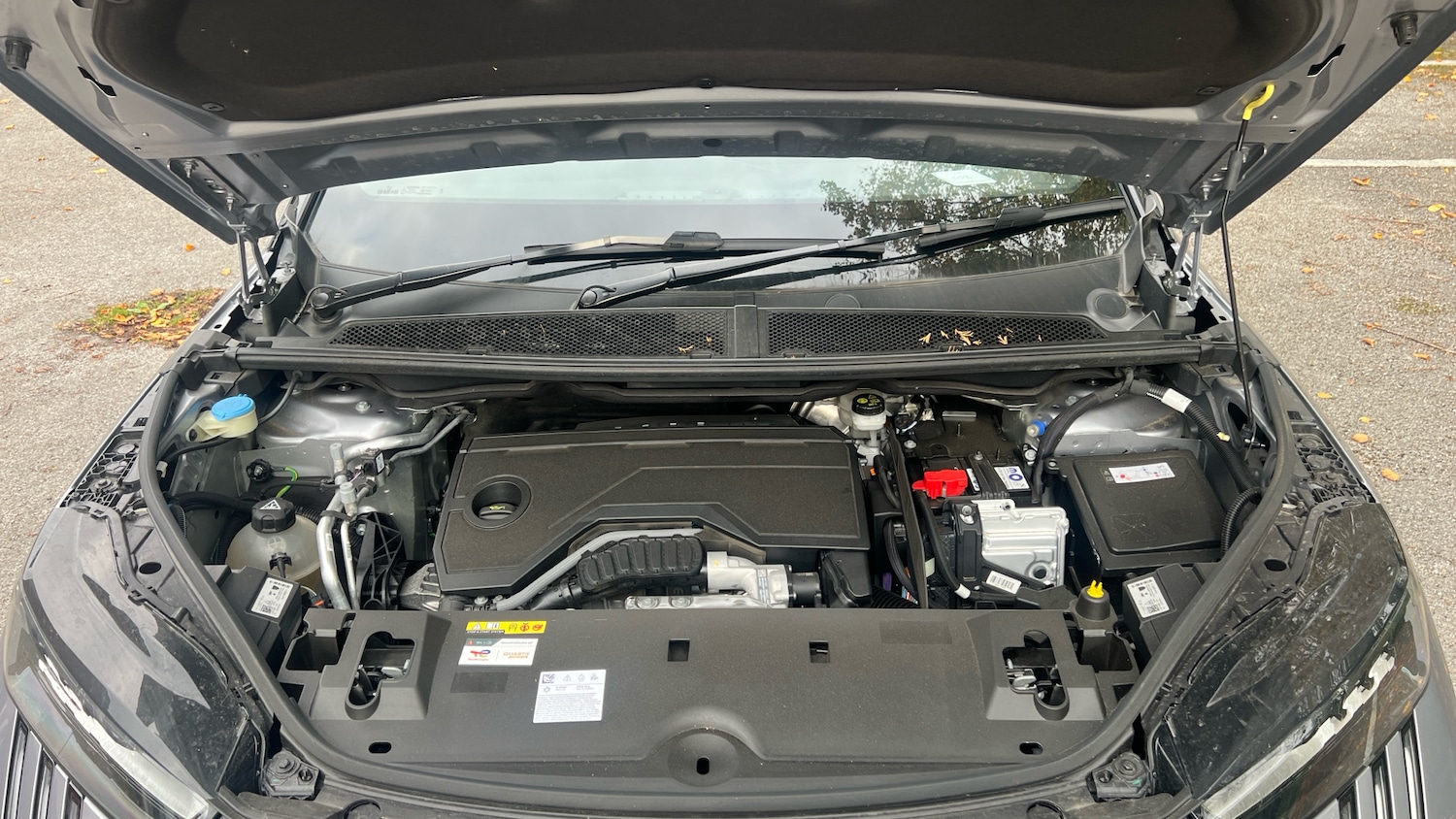 Used Peugeot 5008 2025 for sale - 76180057: Photo 18