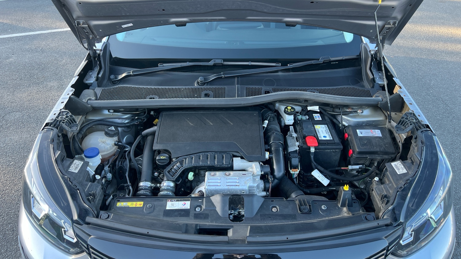 Used Peugeot 2008 2020 for sale - 76024994: Photo 18