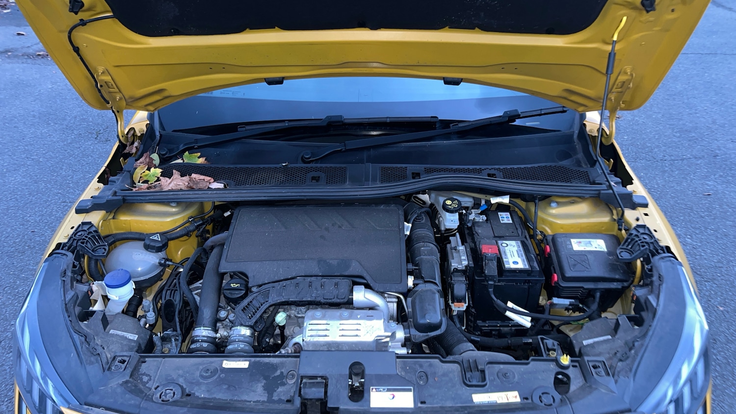 Used Peugeot 208 2023 for sale - 76372199: Photo 18