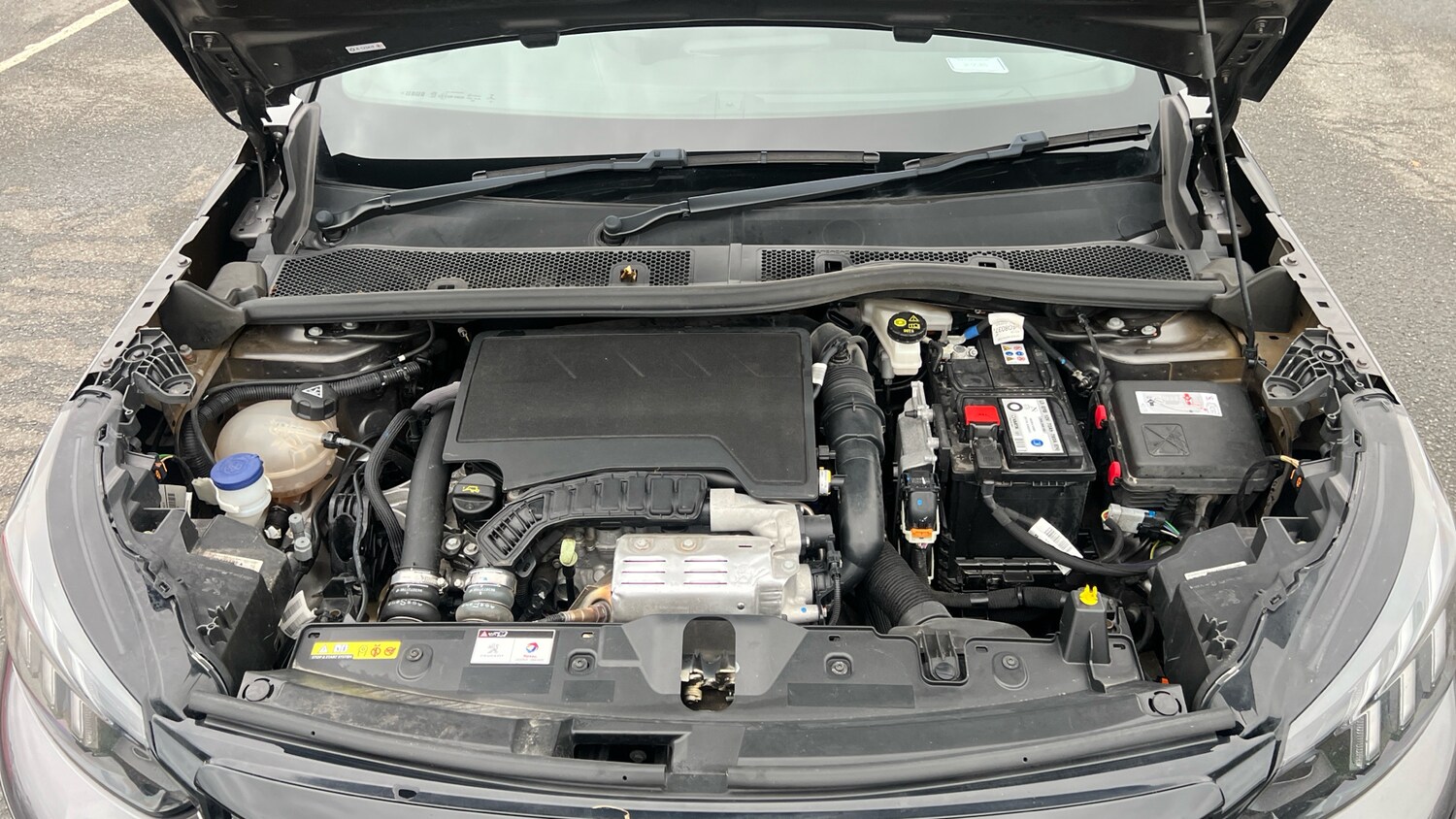 Used Peugeot 2008 2021 for sale - 76433800: Photo 18