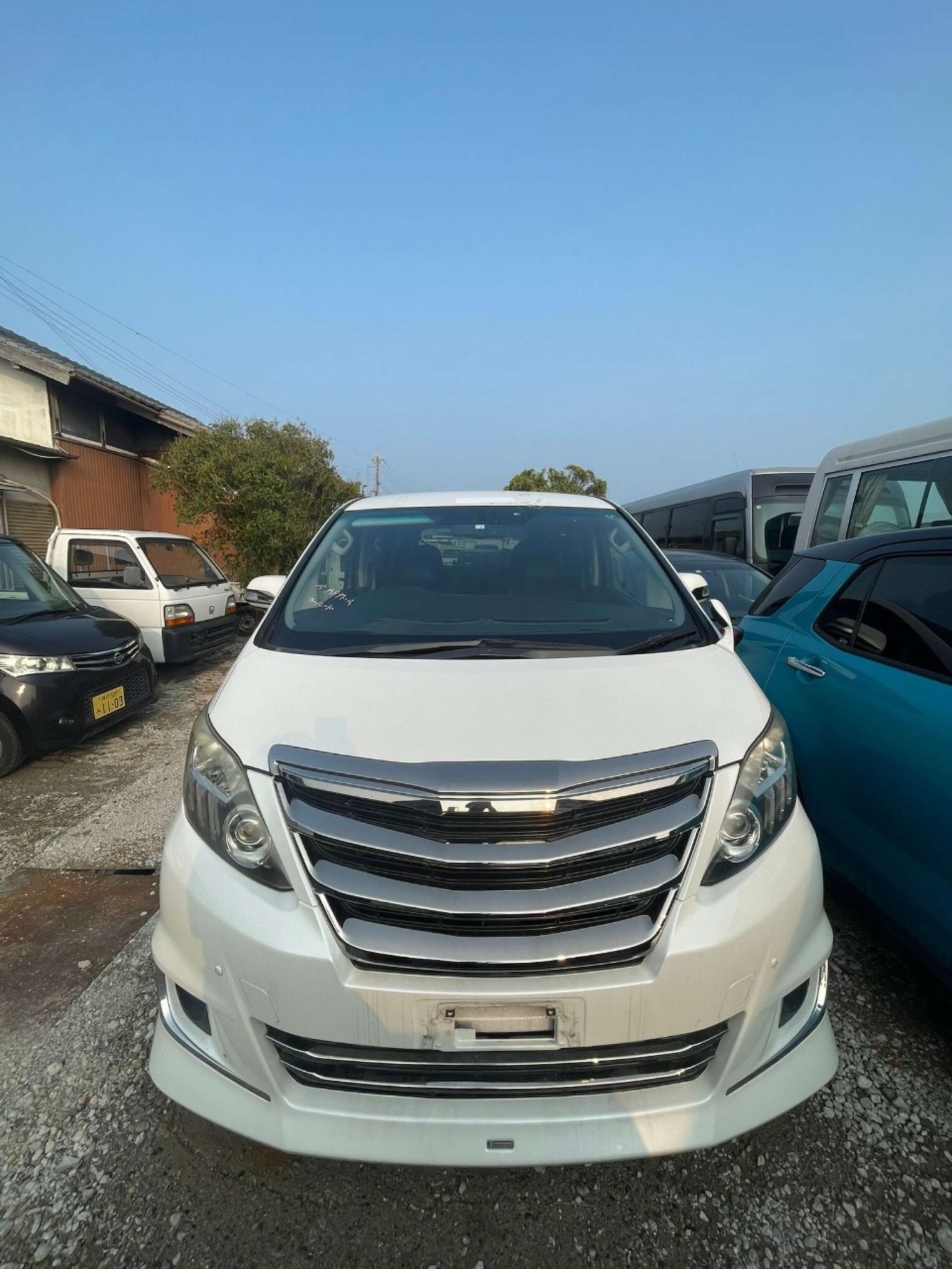 Used Toyota Alphard 2014 for sale - 77502009: Photo 3