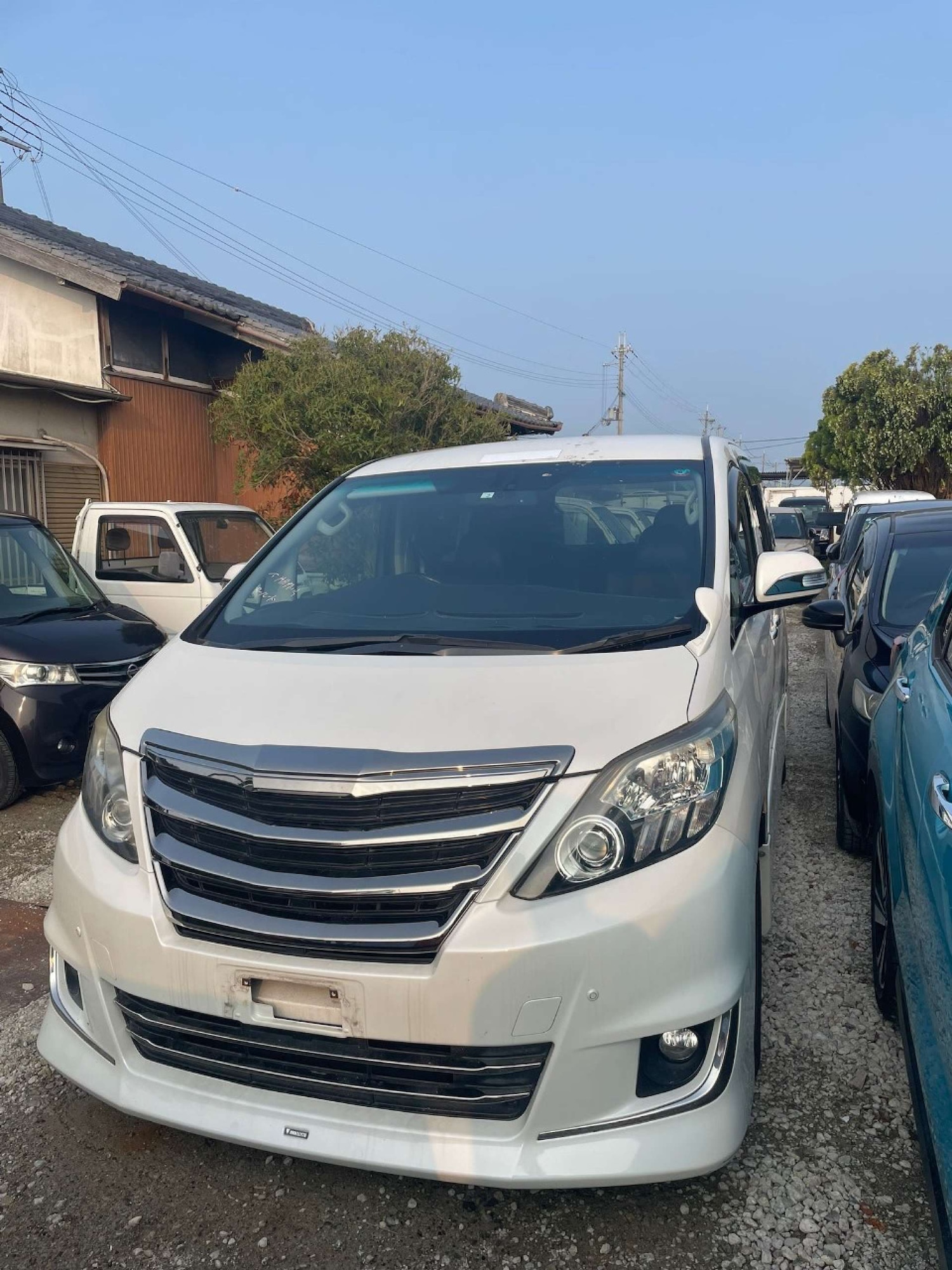 Used Toyota Alphard 2014 for sale - 77502009: Photo 5