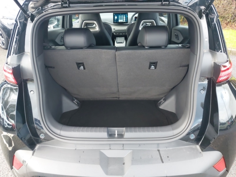 Used BYD Dolphin 2025 for sale - 76894137: Photo 8