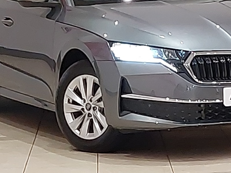 Used Skoda Octavia 2025 for sale - 77025007: Photo 9