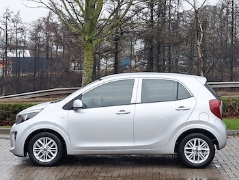 Used Kia Picanto 2024 for sale - 77338838: Photo