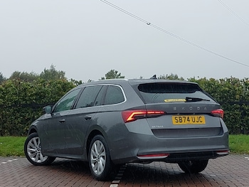Used Skoda Octavia 2025 for sale - 76347613: Photo