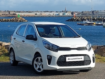 Used Kia Picanto 2023 for sale - 78356042: Photo