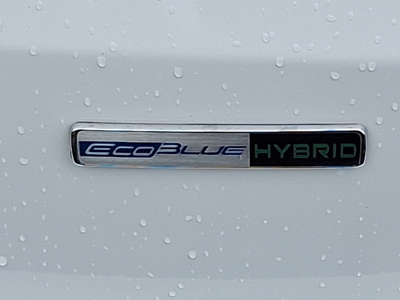 Used Ford Kuga 2020 for sale - 77985841: Photo 12