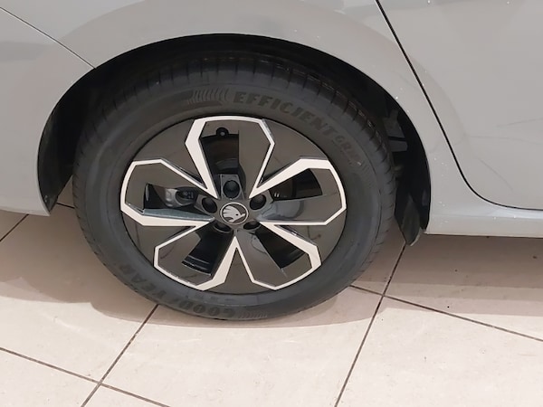 Used Skoda Scala 2025 for sale - 76217828: Photo 12