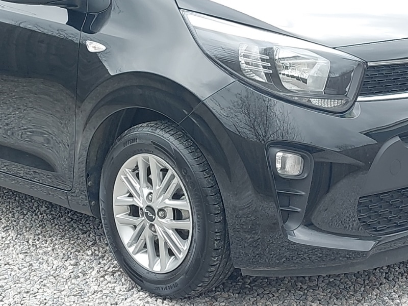 Used Kia Picanto 2023 for sale - 77956058: Photo 9