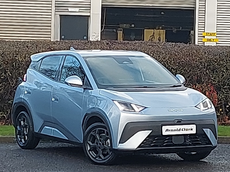 Used BYD Dolphin 2025 for sale - 76894096: Photo 1