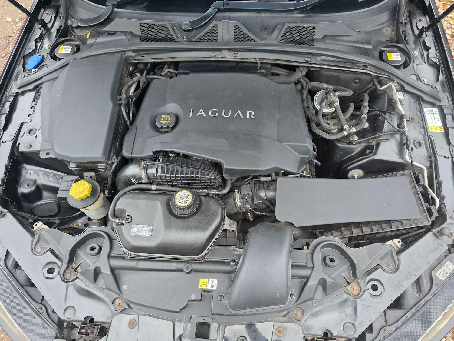 Used Jaguar XF 2013 for sale - 76371656: Photo 43