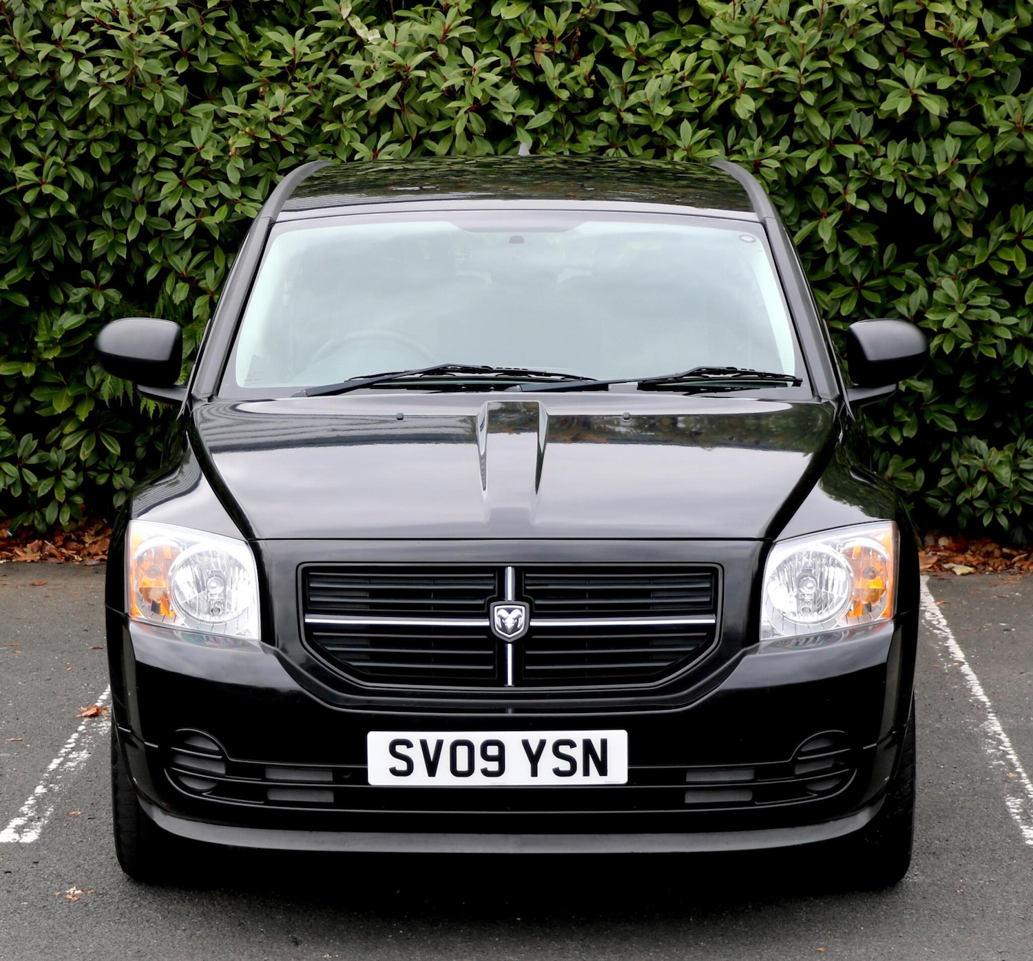 Used Dodge Caliber 2009 for sale - 76597257: Photo 7