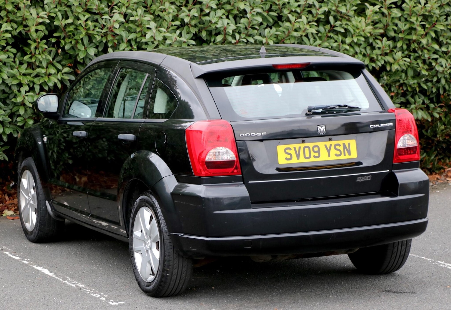 Used Dodge Caliber 2009 for sale - 76898218: Photo 5