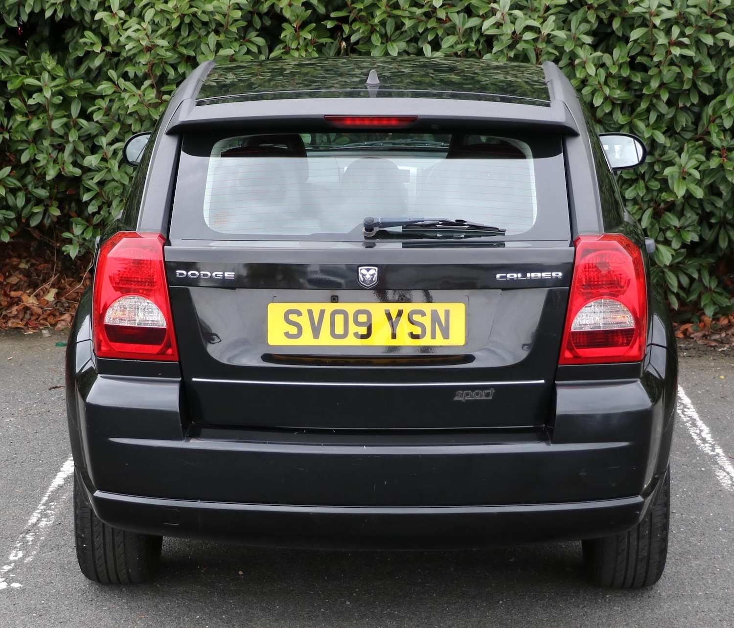 Used Dodge Caliber 2009 for sale - 76898218: Photo 8