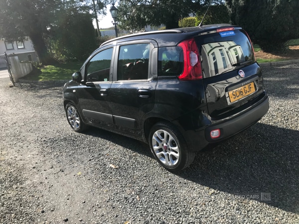 Used Fiat Panda 2016 for sale - 77809462: Photo 4