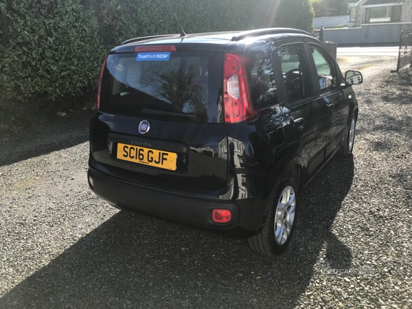 Used Fiat Panda 2016 for sale - 77809462: Photo 5