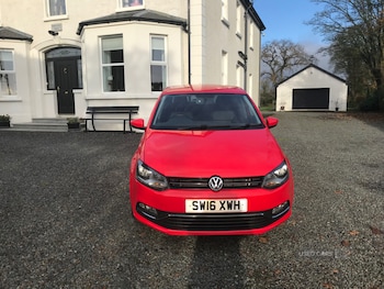 Used Volkswagen Polo 2016 for sale - 76523125: Photo
