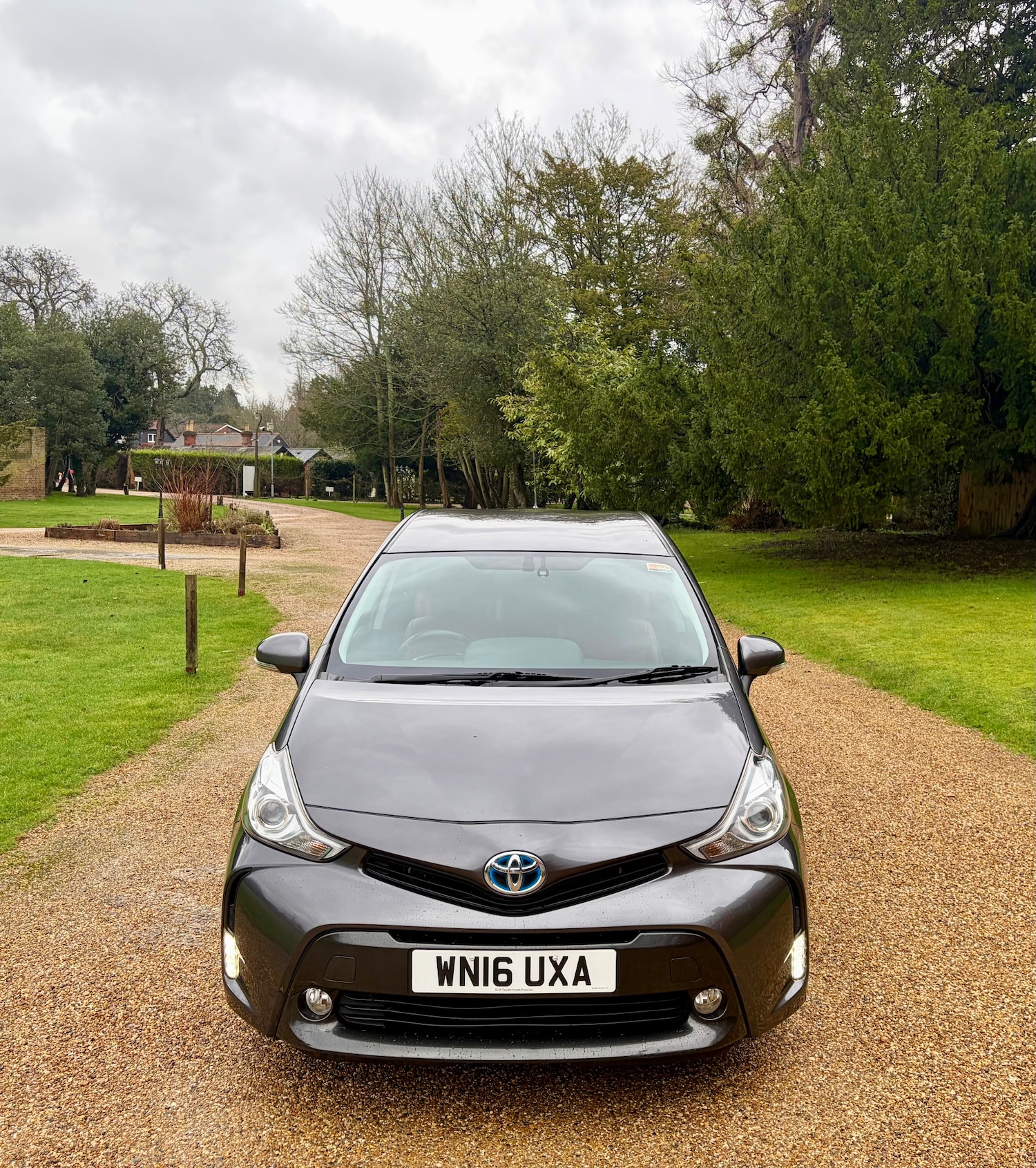 Used Toyota Prius+ 2016 for sale - 77354326: Photo 2