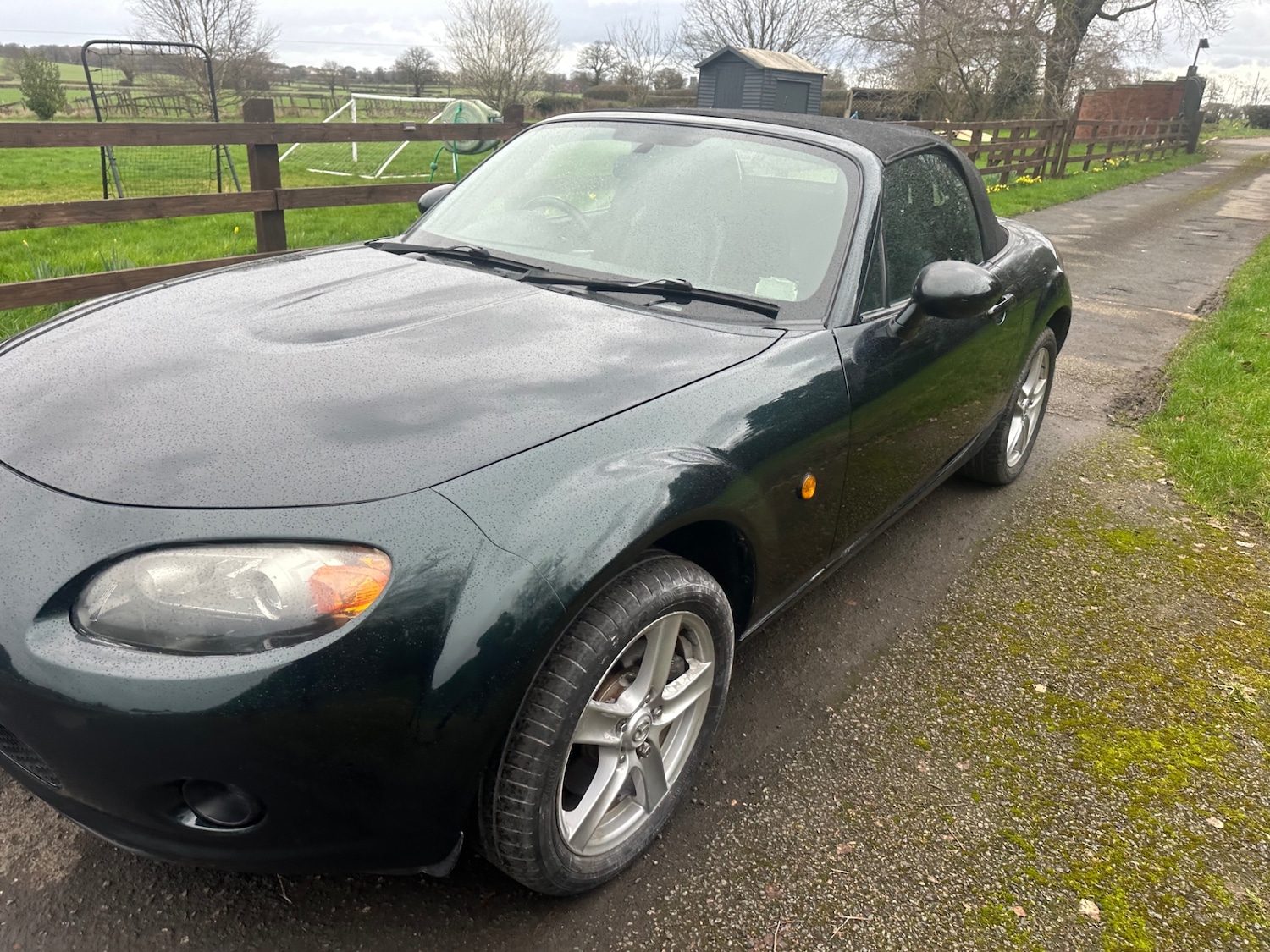 Used Mazda MX-5 2008 for sale - 77685243: Photo 5