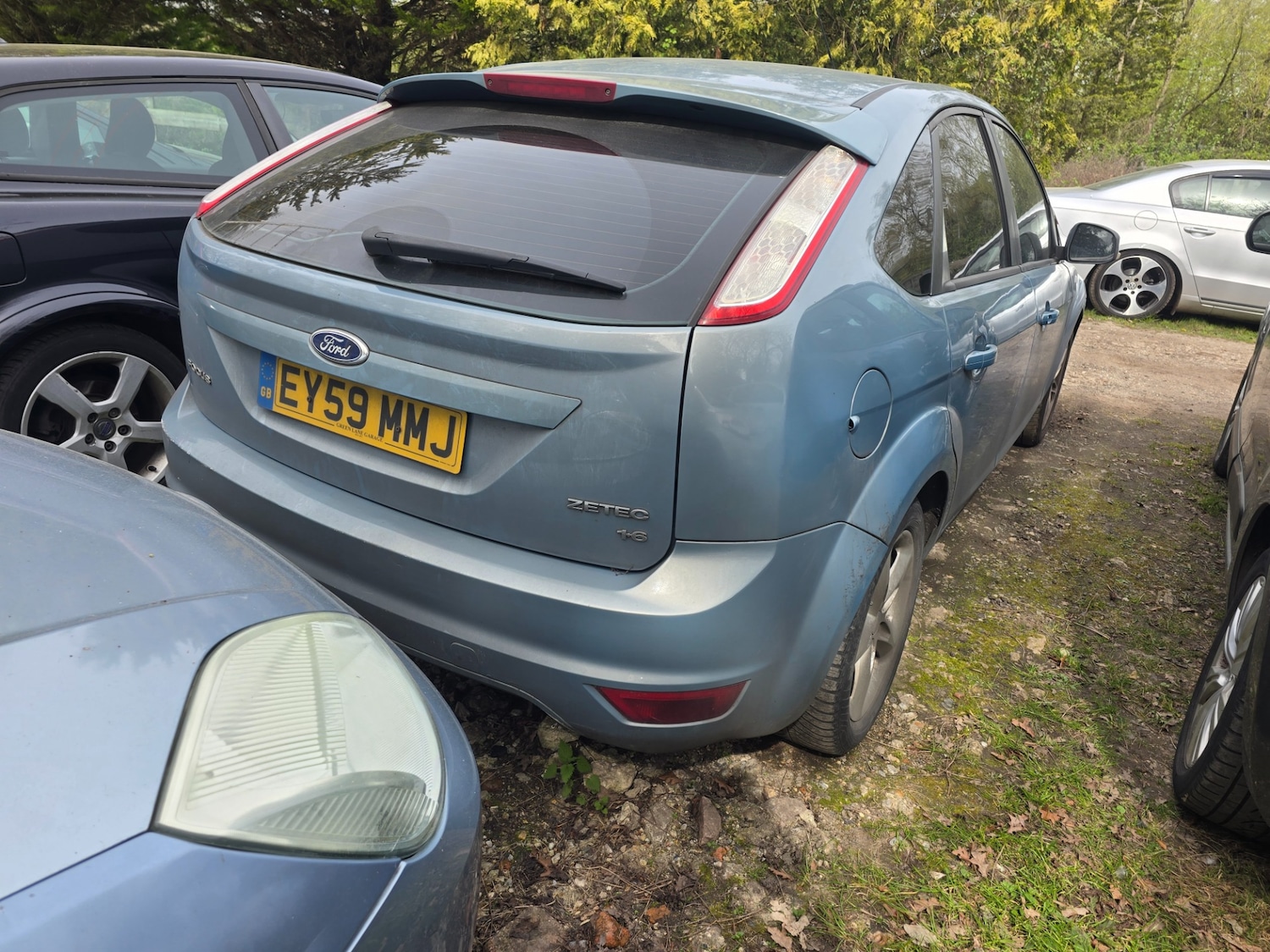 Used Ford Focus 2009 for sale - 78201883: Photo 3