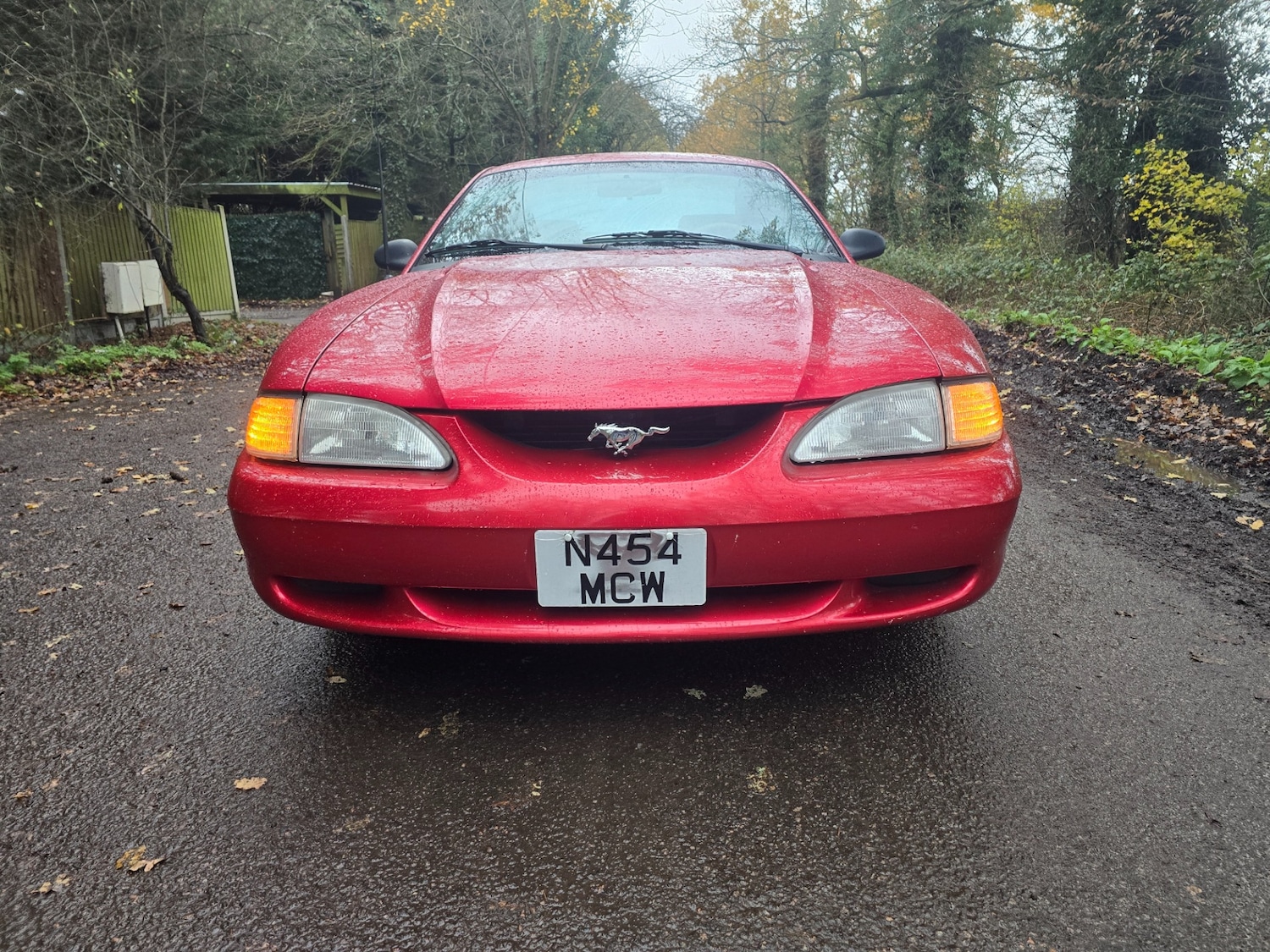 Used Ford Mustang 1996 for sale - 76803573: Photo 6