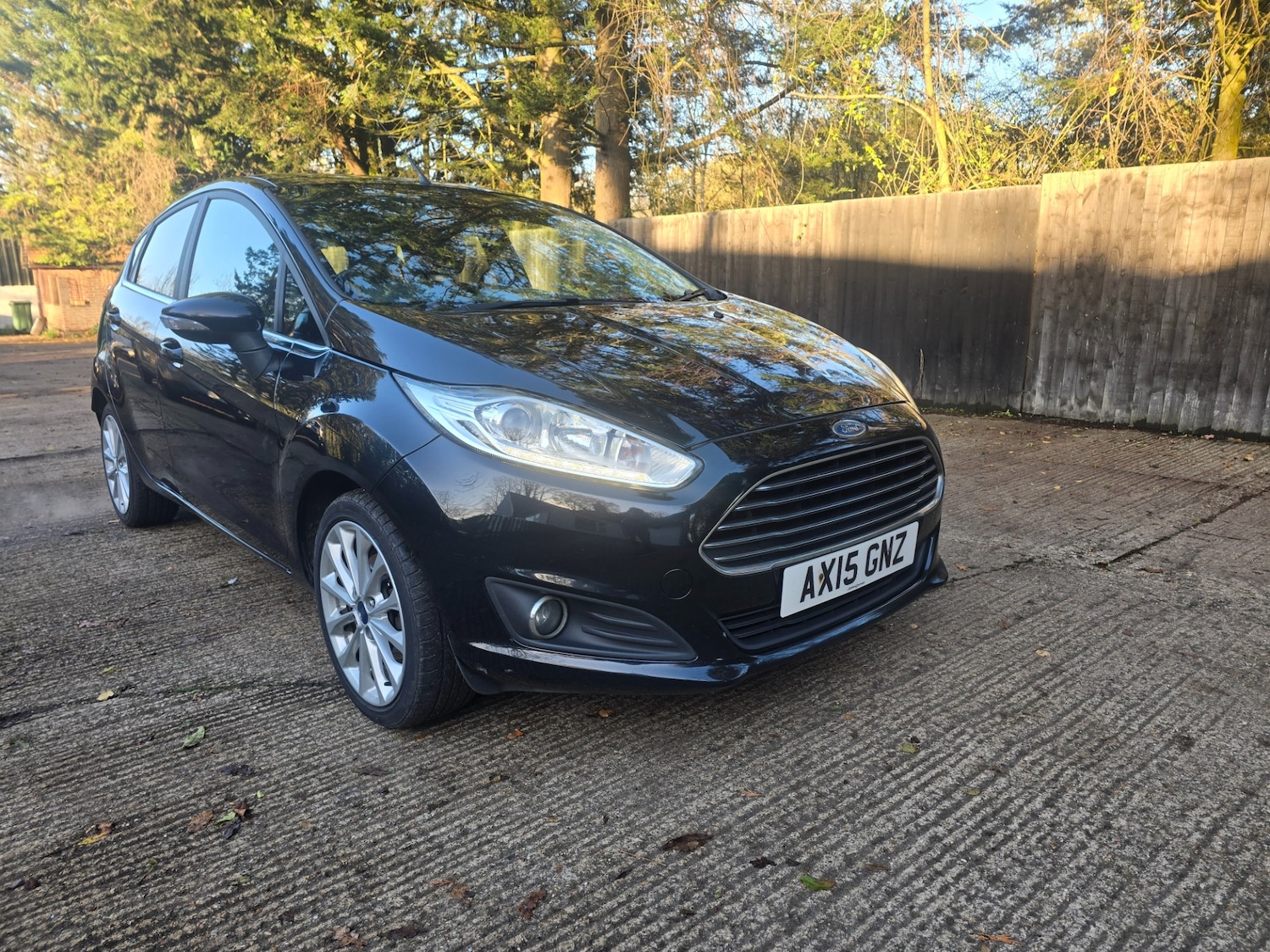 Used Ford Fiesta 2015 for sale - 76693058: Photo 1