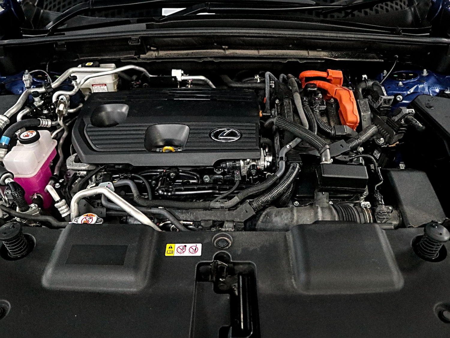 Used Lexus NX 2025 for sale - 77277565: Photo 42