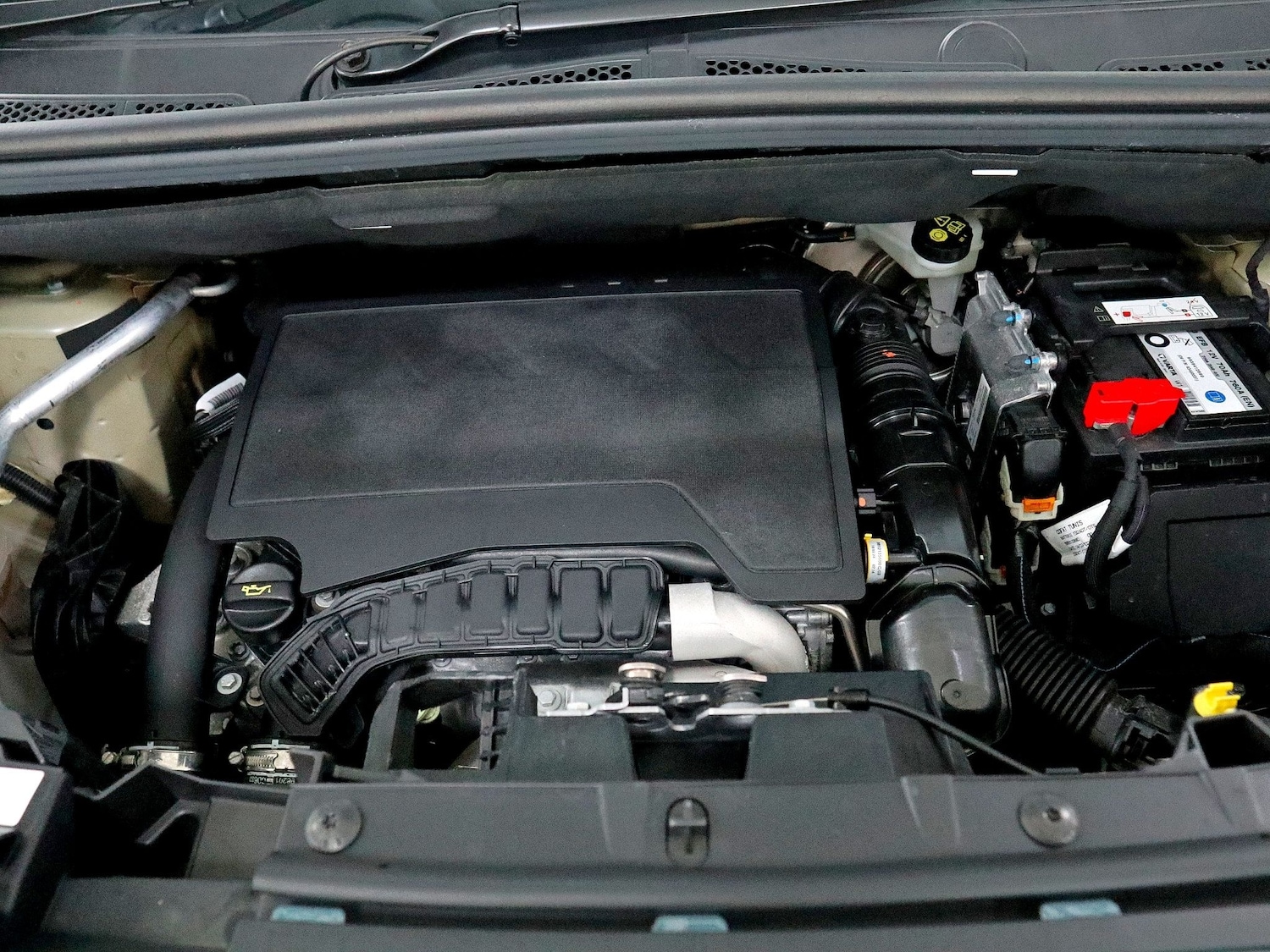 Used Citroen Berlingo 2024 for sale - 76347407: Photo 42