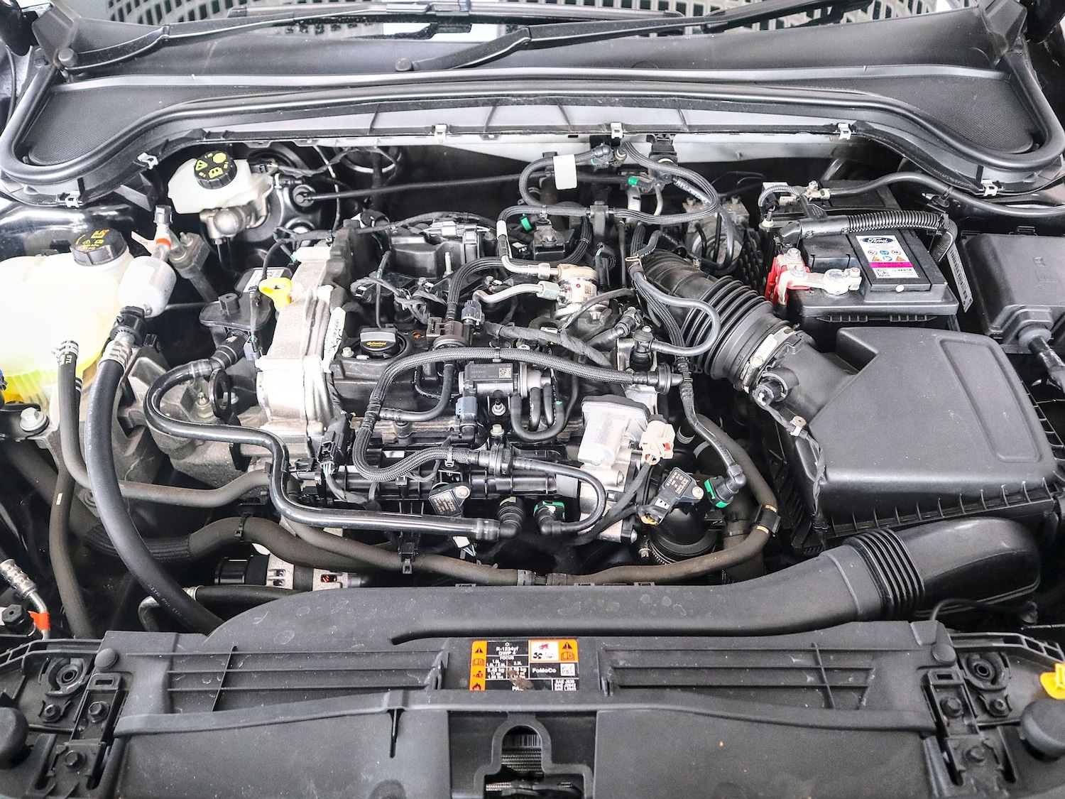 Used Ford Focus 2023 for sale - 77622772: Photo 43