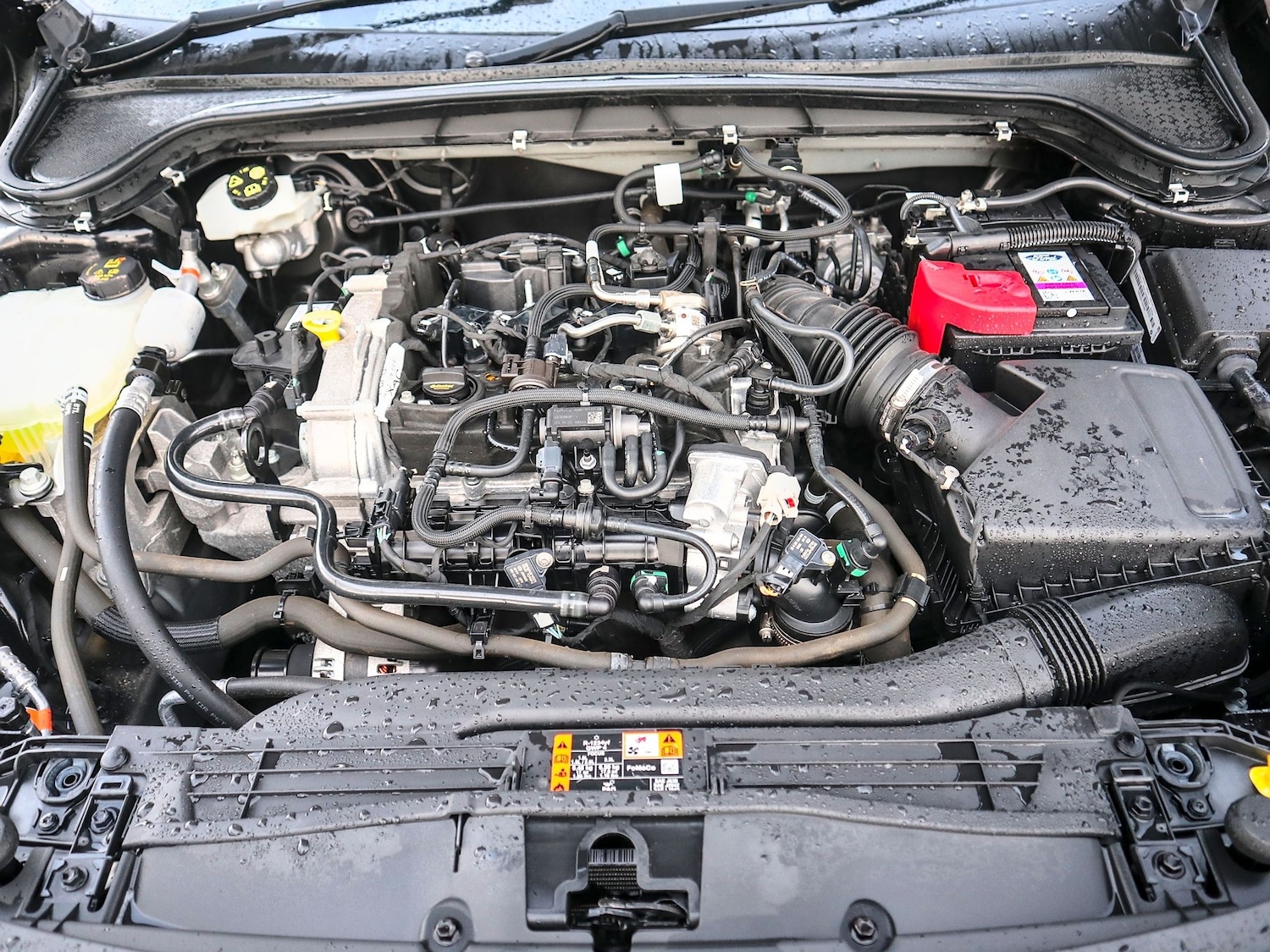 Used Ford Focus 2023 for sale - 77622772: Photo 8