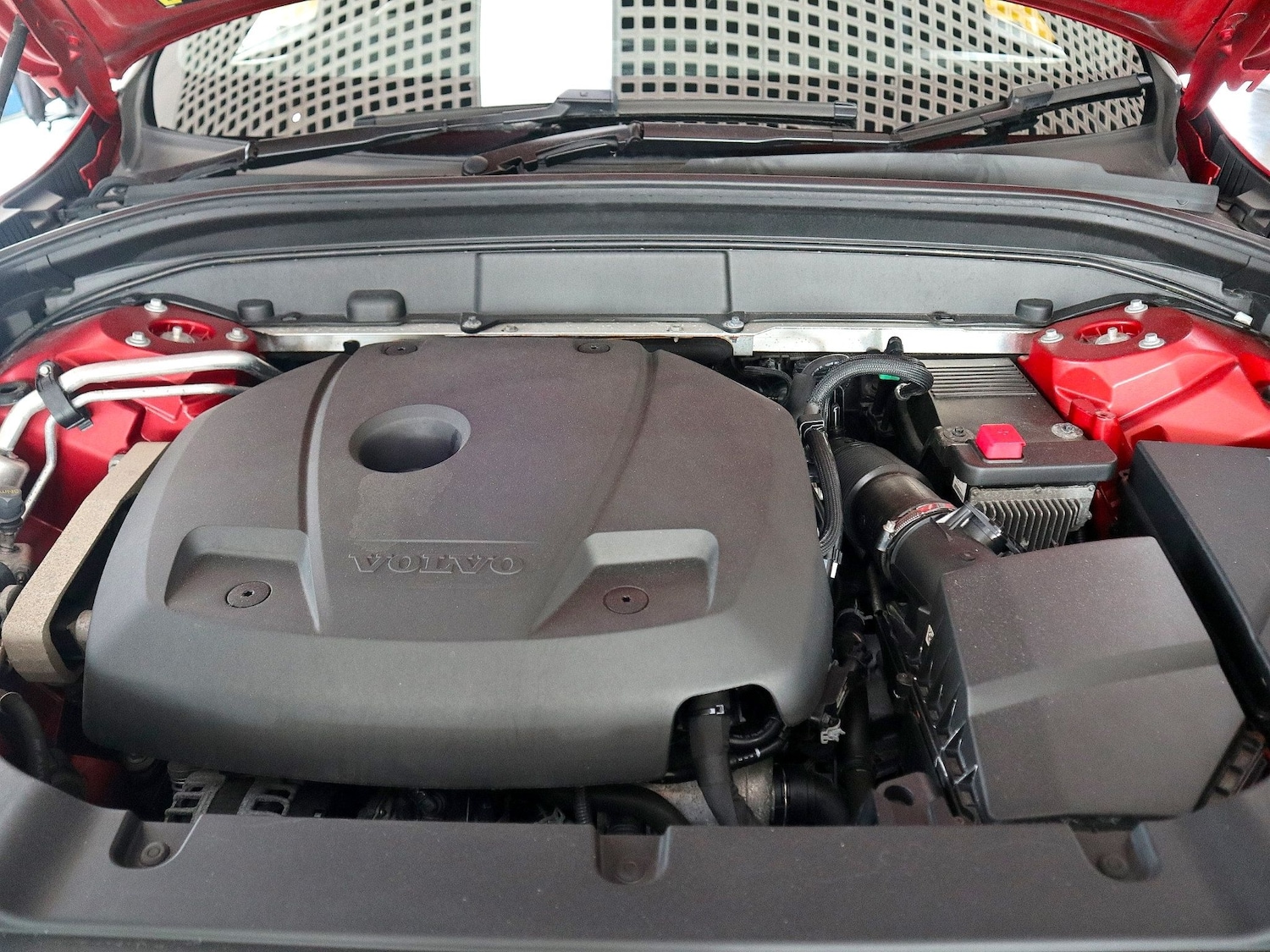 Vehicle 44
