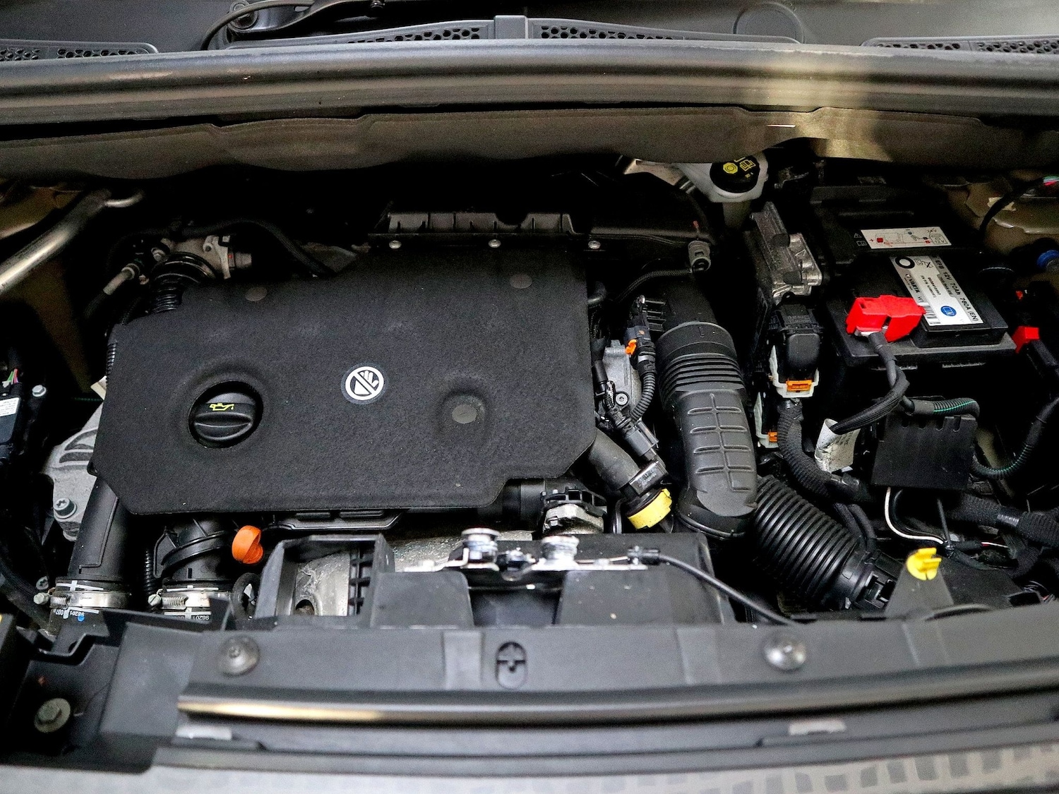 Used Citroen Berlingo 2023 for sale - 77107824: Photo 42