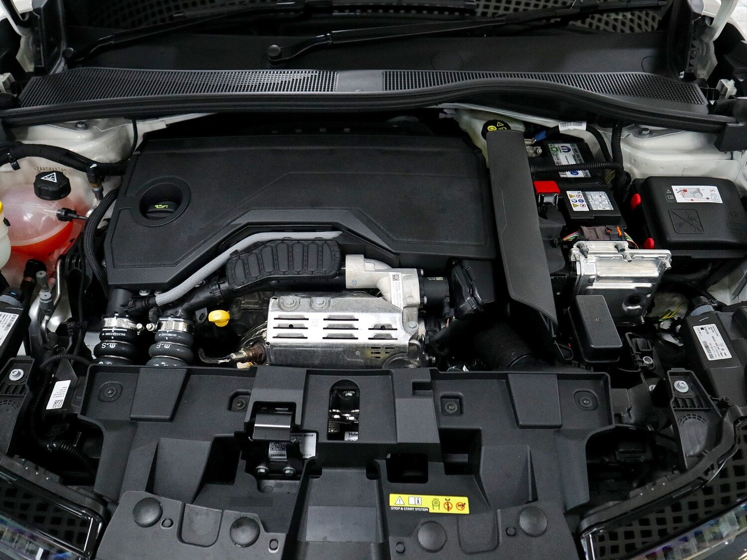 Used Alfa Romeo Junior 2025 for sale - 77303920: Photo 36