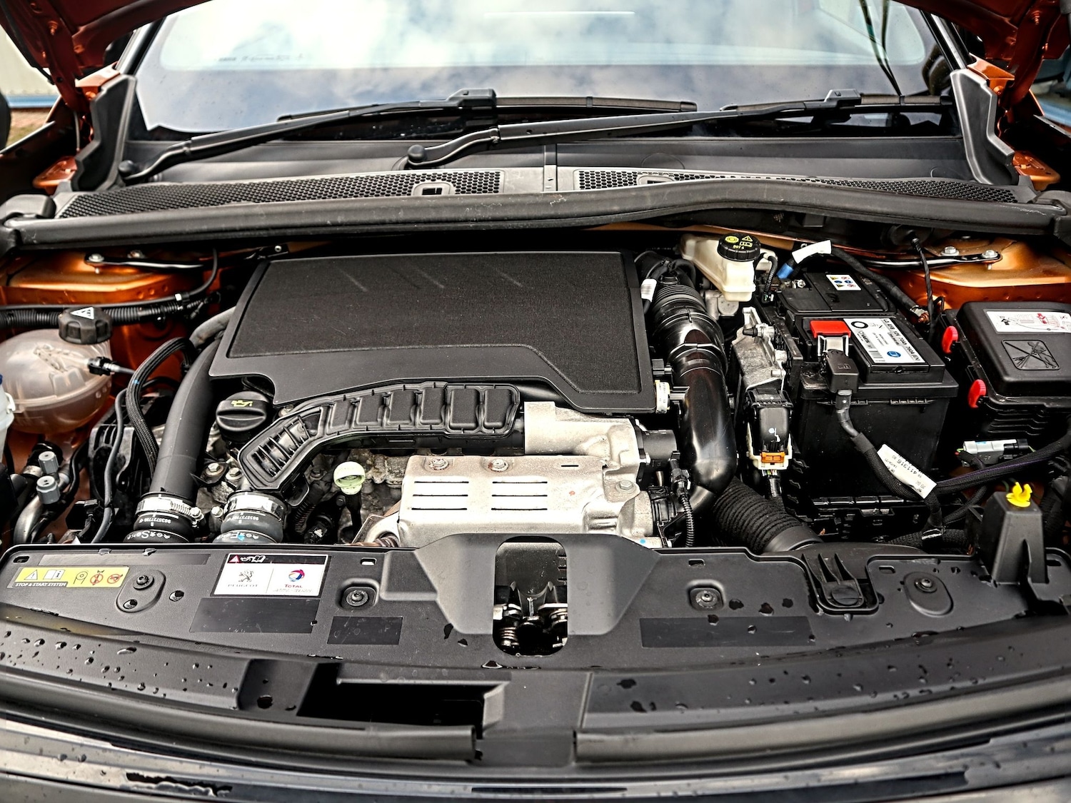 Used Peugeot 2008 2021 for sale - 77173383: Photo 8