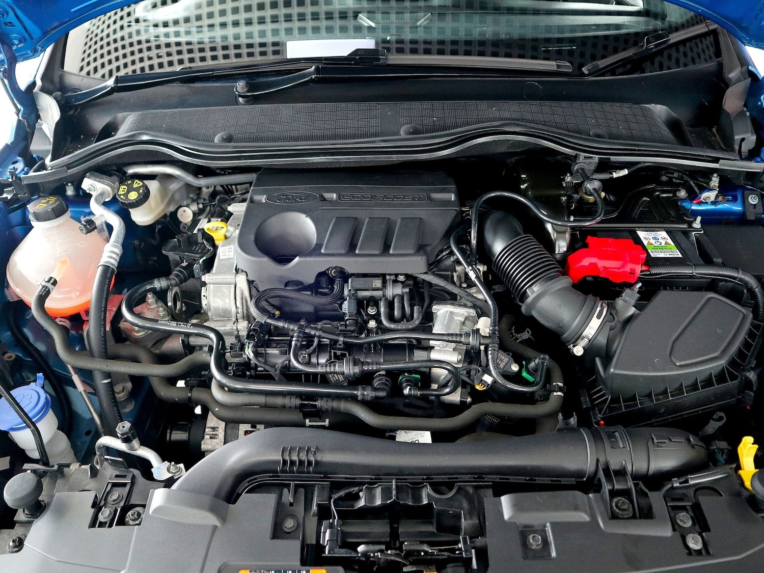 Used Ford Fiesta 2020 for sale - 75656338: Photo 44