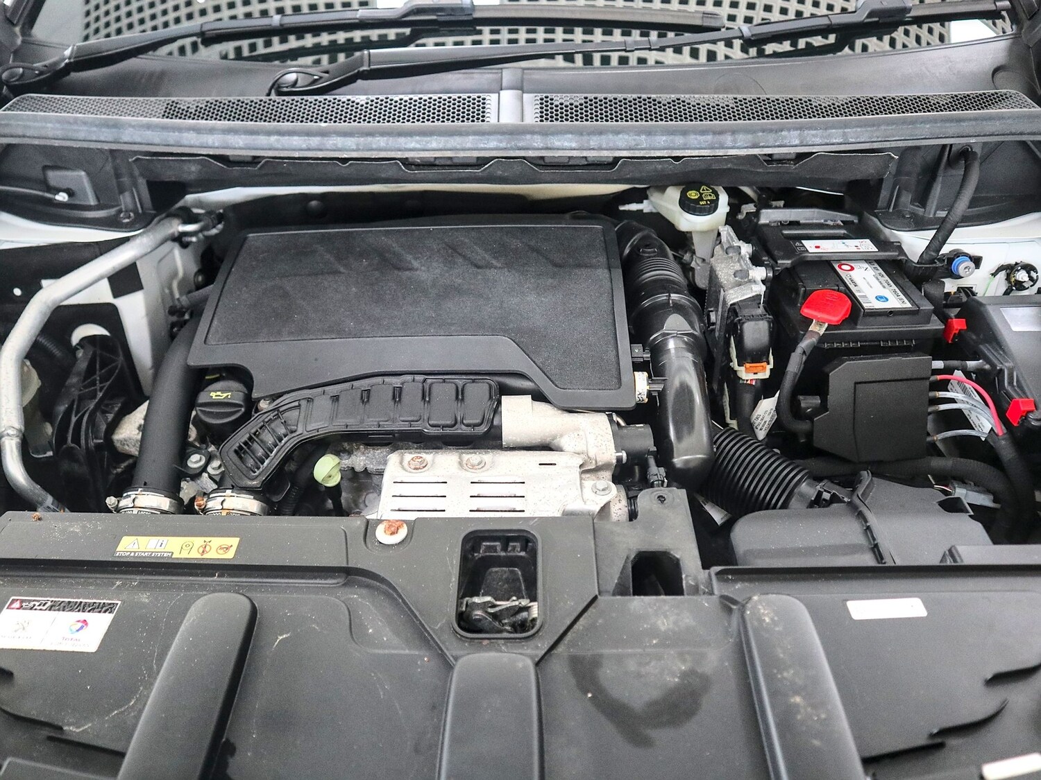 Used Peugeot 5008 2020 for sale - 77508769: Photo 44