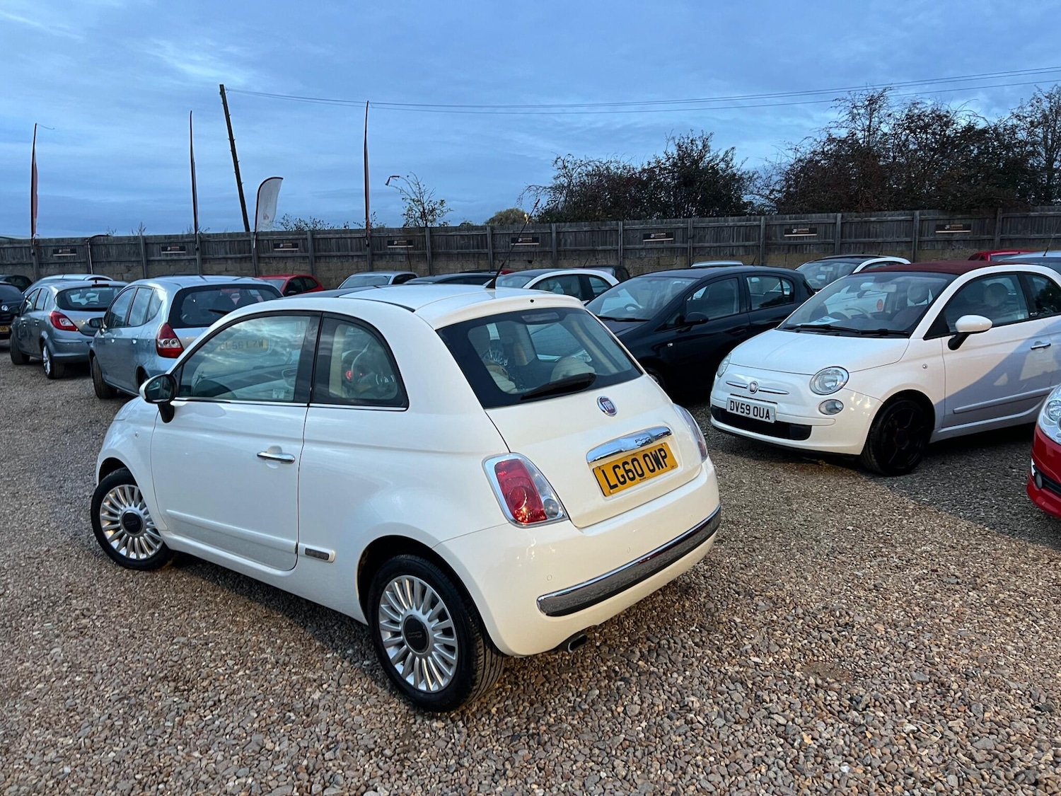 Used Fiat 500 2010 for sale - 77156787: Photo 14