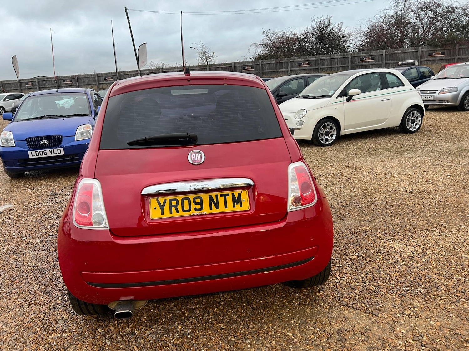Used Fiat 500 2009 for sale - 76742963: Photo 6