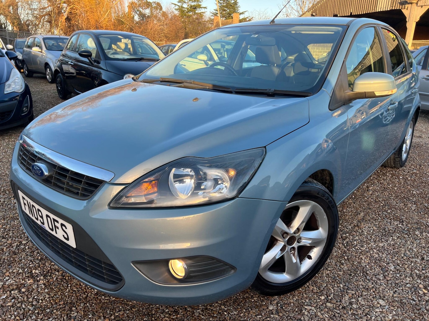 Used Ford Focus 2009 for sale - 77101637: Photo 12